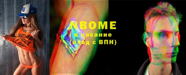 хмурый Пестово