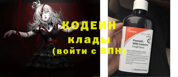 хмурый Пестово