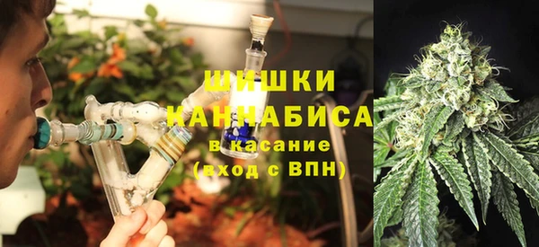 хмурый Пестово