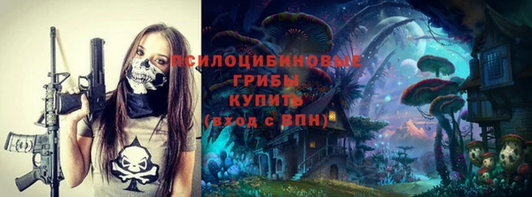 PSILOCYBIN Пересвет