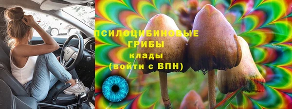 спиды Переславль-Залесский