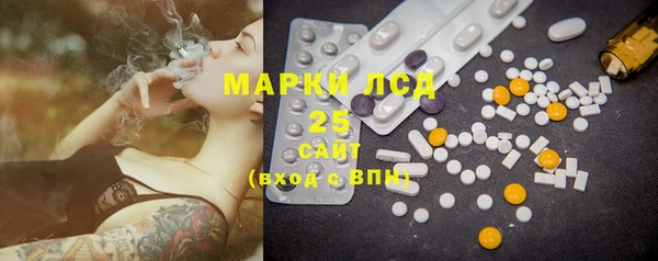 PSILOCYBIN Пересвет