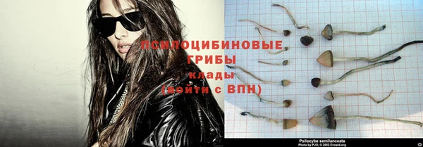 хмурый Пестово