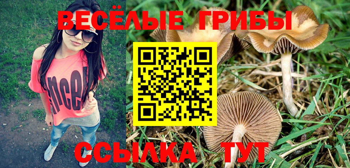 Псилоцибиновые грибы Magic Shrooms Ржев