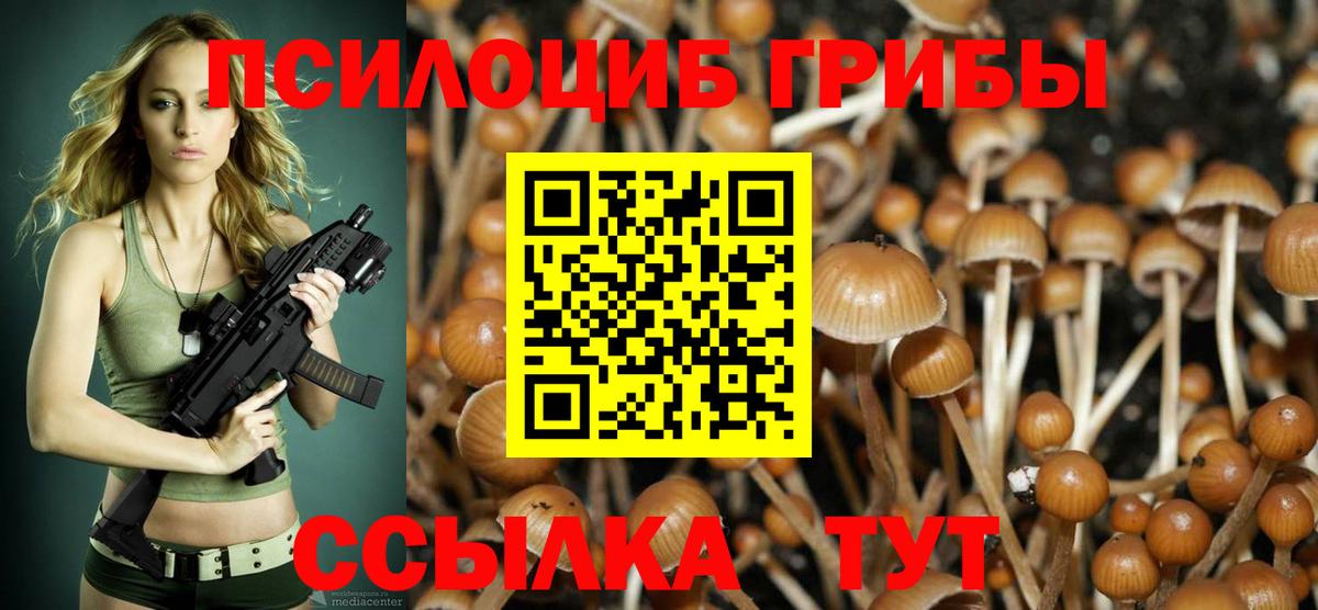 закладка  Вход с VPN  Ржев  Псилоцибиновые грибы Psilocybe  Псилоцибиновые грибы прущие грибы 