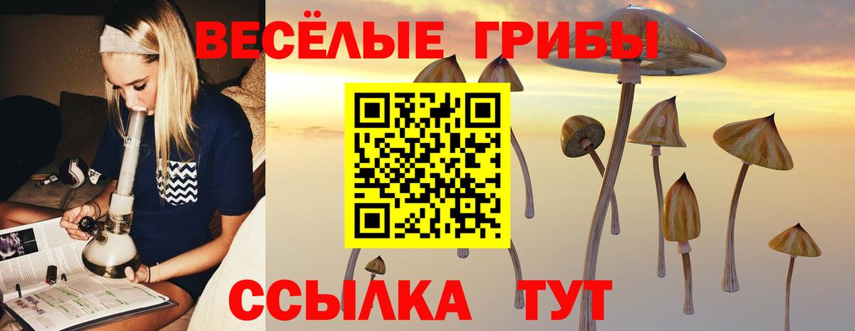Кокаин Ржев